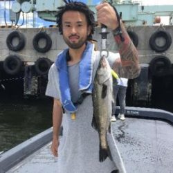 シーマジカル 釣果