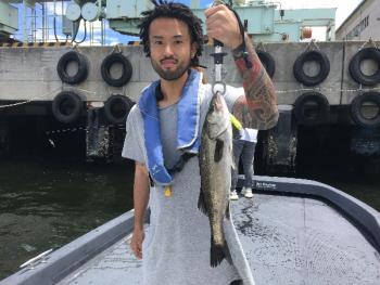 シーマジカル 釣果