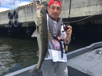 シーマジカル 釣果