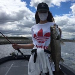 シーマジカル 釣果