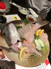 ことぶき丸 釣果