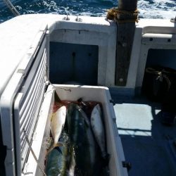 第五慶門丸 釣果