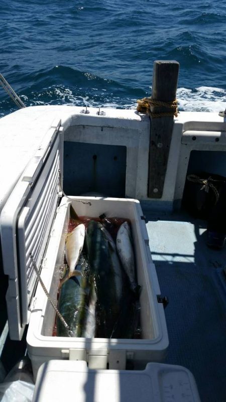 第五慶門丸 釣果