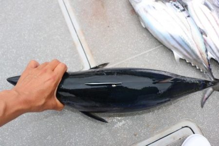 へいみつ丸 釣果