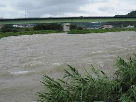 狩野川（狩野川漁業協同組合） 釣果
