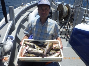 石川丸 釣果