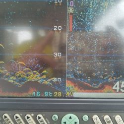 遊漁船 ニライカナイ 釣果