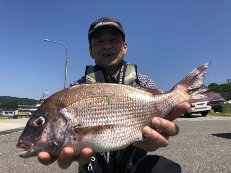 由良渡船 釣果