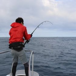 へいみつ丸 釣果