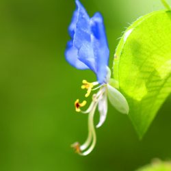 小菅トラウトガーデン 釣果
