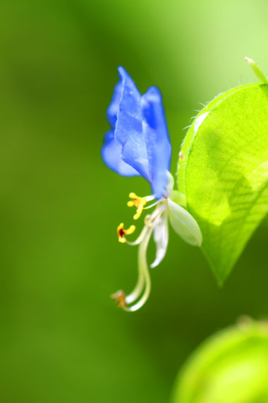 小菅トラウトガーデン 釣果