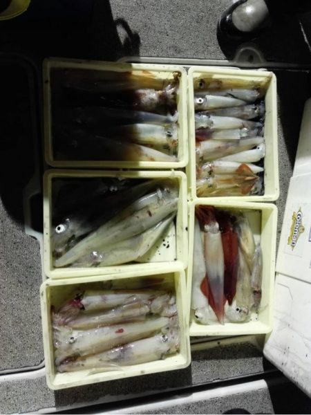 第二大福丸 釣果