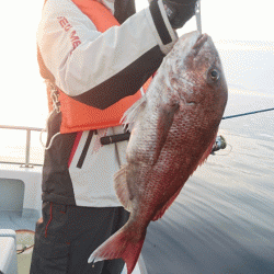 遊漁船ブルーウッズ 釣果