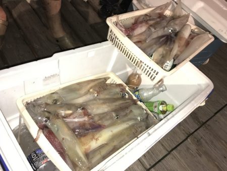 寿裕 （YOSHIHIRO） 釣果