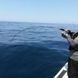 IDATEN（イダテン） 釣果