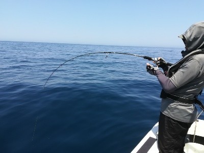 IDATEN（イダテン） 釣果