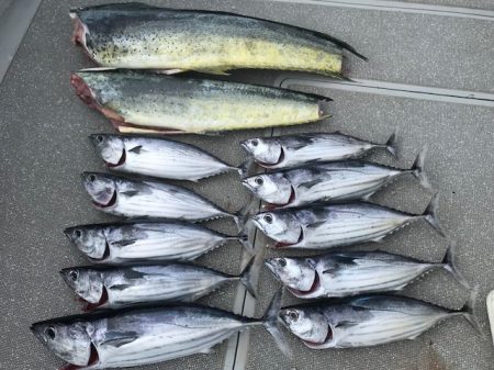 へいみつ丸 釣果