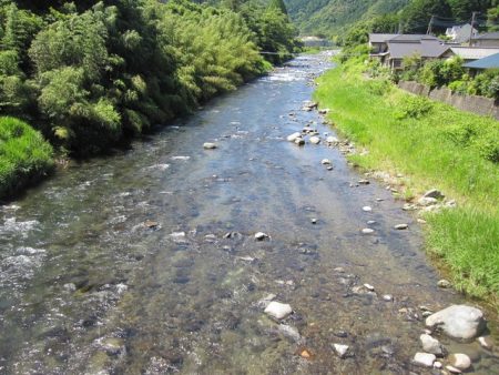 狩野川(狩野川漁業協同組合) 釣果