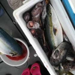 IDATEN（イダテン） 釣果