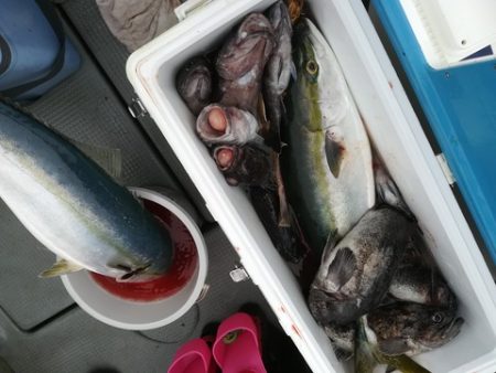 IDATEN（イダテン） 釣果