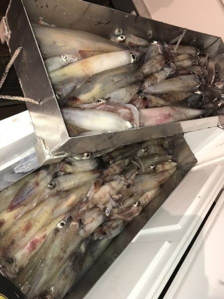 寿裕 （YOSHIHIRO） 釣果