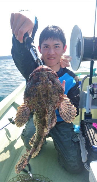 気仙沼　つり丸 釣果