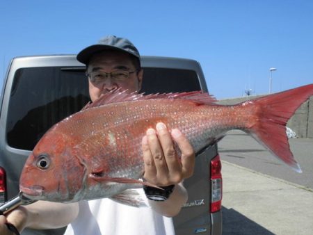 大進丸(新潟) 釣果