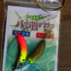 小菅トラウトガーデン 釣果