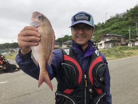 由良渡船 釣果