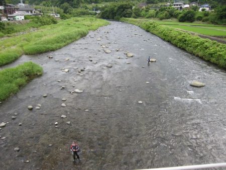 狩野川(狩野川漁業協同組合) 釣果