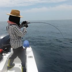 開進丸 釣果