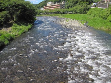 狩野川(狩野川漁業協同組合) 釣果