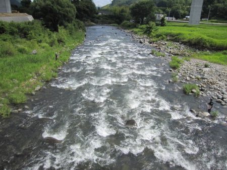 狩野川(狩野川漁業協同組合) 釣果