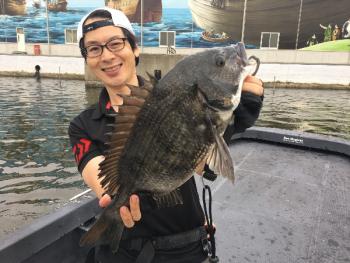 シーマジカル 釣果