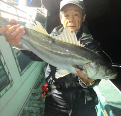 なかくに丸 釣果