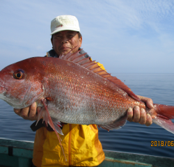 なかくに丸 釣果
