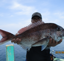 なかくに丸 釣果