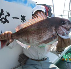 なかくに丸 釣果
