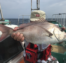 なかくに丸 釣果