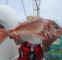 なかくに丸 釣果