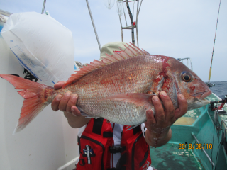 なかくに丸 釣果