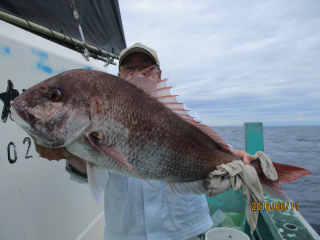なかくに丸 釣果