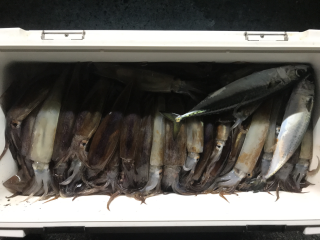 なかくに丸 釣果