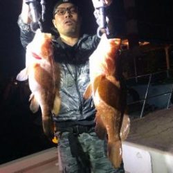 シーマジカル 釣果