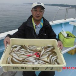 まとばや 釣果