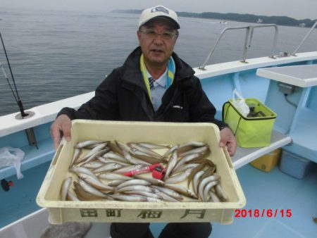 まとばや 釣果