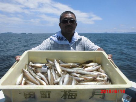 まとばや 釣果