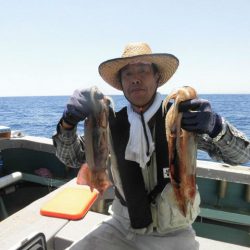 大進丸(愛知) 釣果