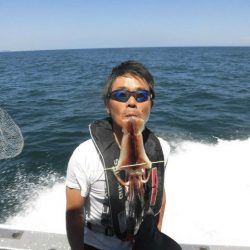 大進丸(愛知) 釣果