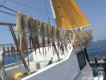 大進丸（愛知） 釣果